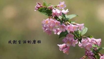 t016a7d8b9c019c1313.jpg
