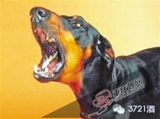 t017c39ec89dca2db01.jpg