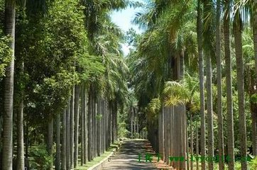t01752b4ca0ebafe5b7.jpg