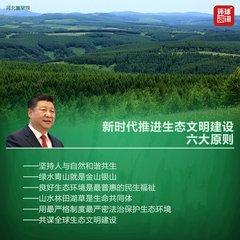 t017eb216e0fd2ec345.jpg