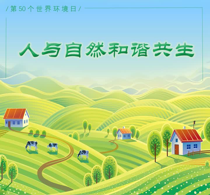 eb31a705-fc46-4989-b1f3-6d9783ad8958.jpg