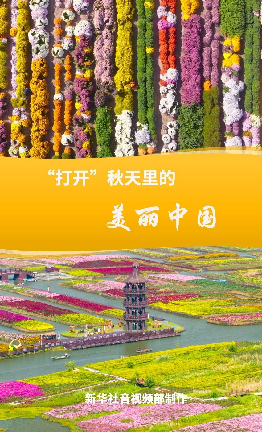 d8332eeda49a163ce8f8d4c3fbf37ecd_d051beb0731a62444cd57e4c1927092c.jpg