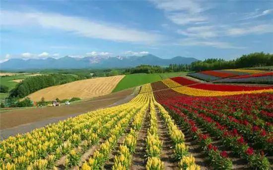 <b>三农话题：日本农业的“第六产业”是什么？台湾的生态农庄是怎么做的？</b>
