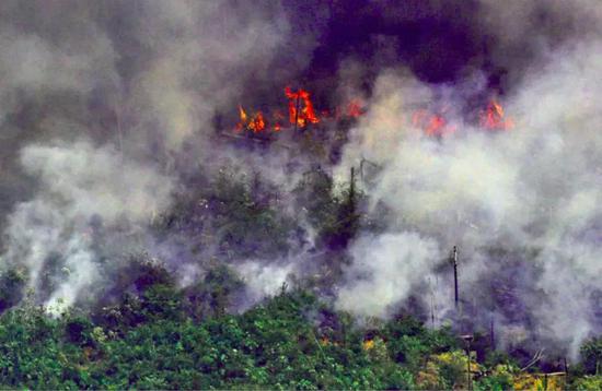 <b>焦点：亚马逊雨林创纪录大火，中非和南非森林大火肆虐，地球正遭受浩劫!</b>