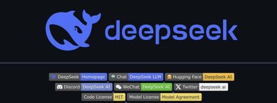 <b>DeepSeek科技奇袭</b>